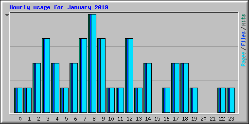 Hourly usage for January 2019