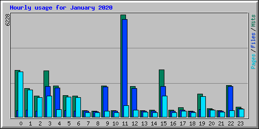 Hourly usage for January 2020